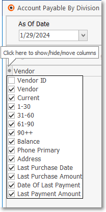 HelpFilesAccountsPayableByDivision-AvailableColumns